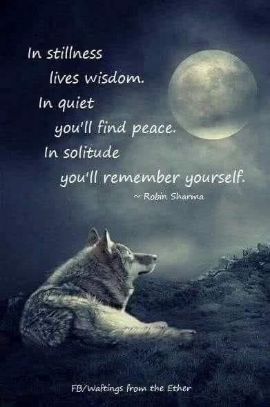 012_Wolfs_wisdom.jpg